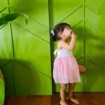 Crochet Back Tying Soft Net Dress - Image 7