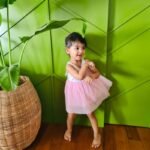 Crochet Back Tying Soft Net Dress - Image 8