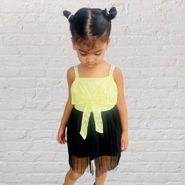 Lace Dress with Bow & Pleated Soft Net