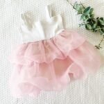 Organza Balloon Dress - Image 4