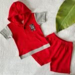 Teddy Hoodie Tee & Shorts - Image 5