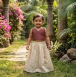 Paisley Chanderi Silk Top and Skirt