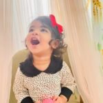 Peterpan Collared Sweatshirt - Image 2