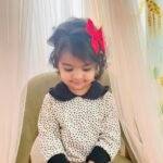 Peterpan Collared Sweatshirt