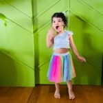 Satin Crop Top & MultiColour Soft Net Skirt