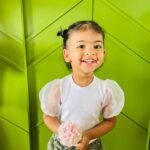 Organza Puff Sleeve Top