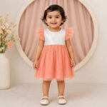 Frill Sleeve Sequin Soft Net Dress